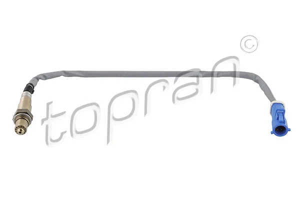 Lambda Sensor (304 160)