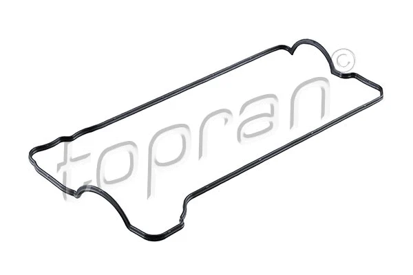 Gasket, cylinder head cover (600 626)