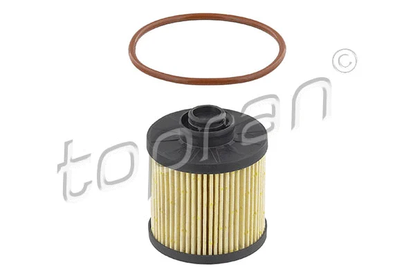 Fuel Filter (304 882)