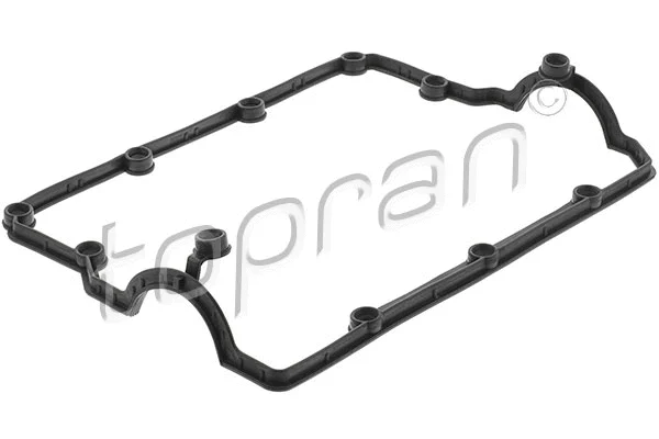 Gasket, cylinder head cover (111 925)