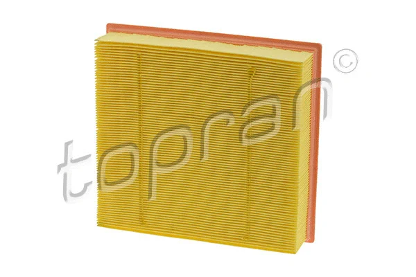 Air Filter (408 585)