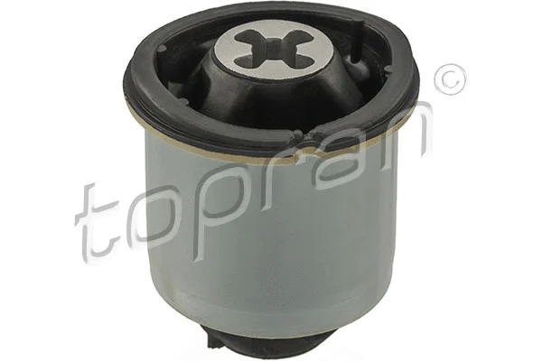 Bushing, axle beam (701 043)