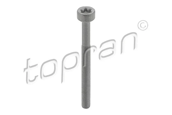 Screw, injection nozzle holder (410 287)
