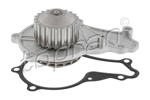 Water Pump, engine cooling (302 220)