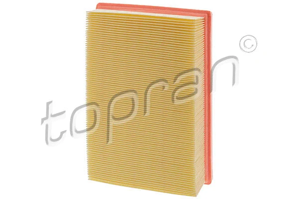 Air Filter (208 496)