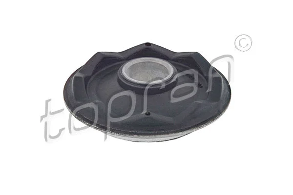 Mounting, control/trailing arm (301 409)