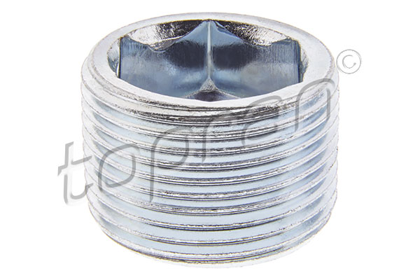 Screw Plug, transmission housing (115 346)