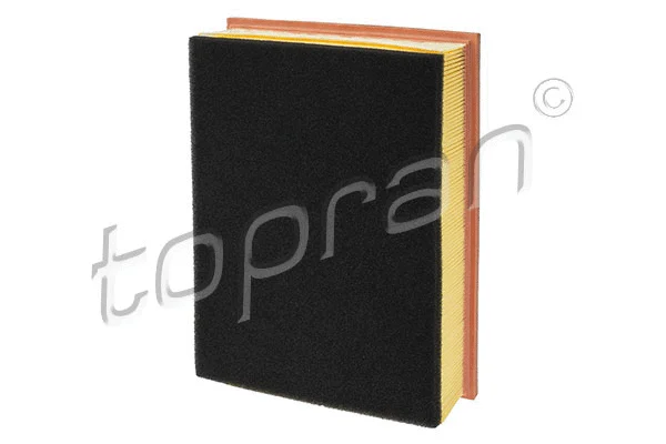 Air Filter (112 386)