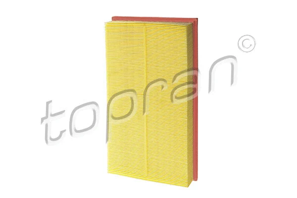Air Filter (116 793)