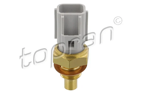 Sensor, fuel temperature (304 648)