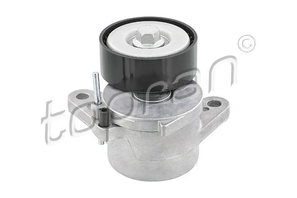 Belt Tensioner, V-ribbed belt (118 001)