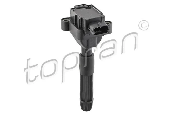 Ignition Coil (401 870)