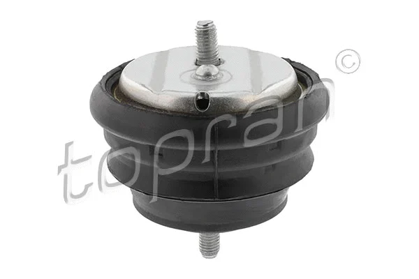 Mounting, engine (500 005)