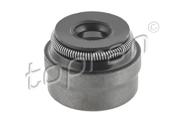 Seal Ring, valve stem (205 583)