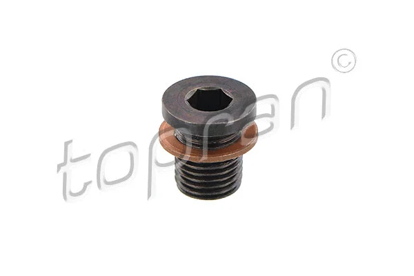 Screw Plug, oil sump (115 351)