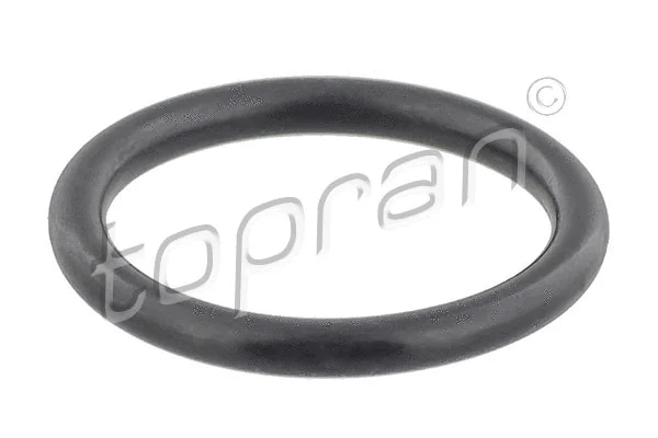 Seal Ring, radiator cap bolt (103 007)