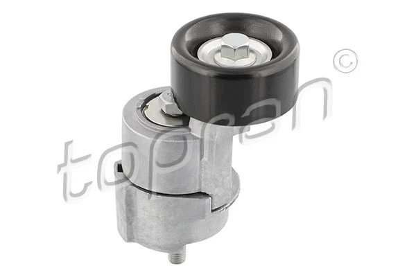 Belt Tensioner, V-ribbed belt (821 843)