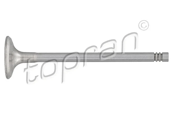 Exhaust Valve (205 157)