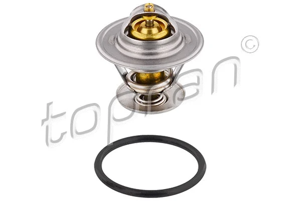 Thermostat, coolant (202 313)
