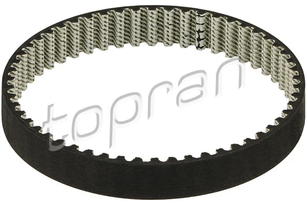 Timing Belt (113 869)