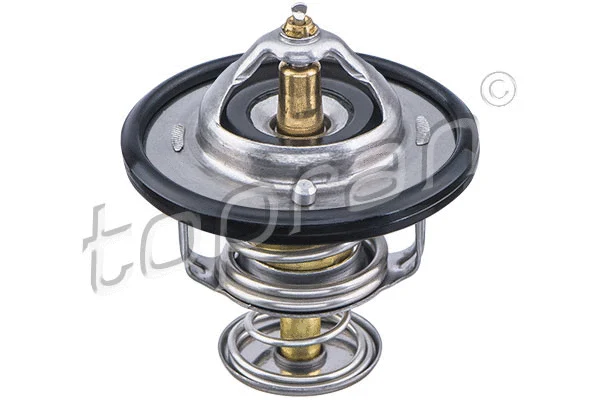 Thermostat, coolant (820 985)