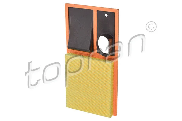 Air Filter (111 291)