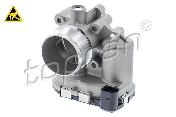 Throttle Body (305 545)
