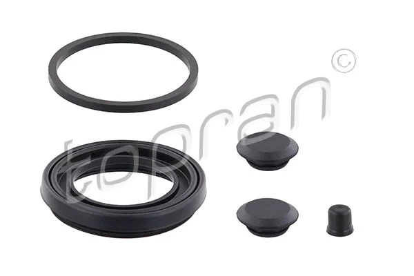 Repair Kit, brake caliper (102 639)