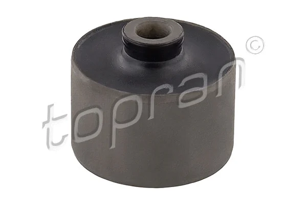 Bushing, axle beam (207 547)