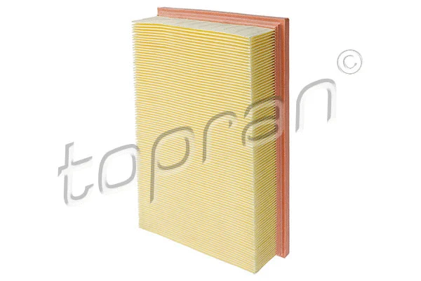 Air Filter (400 308)