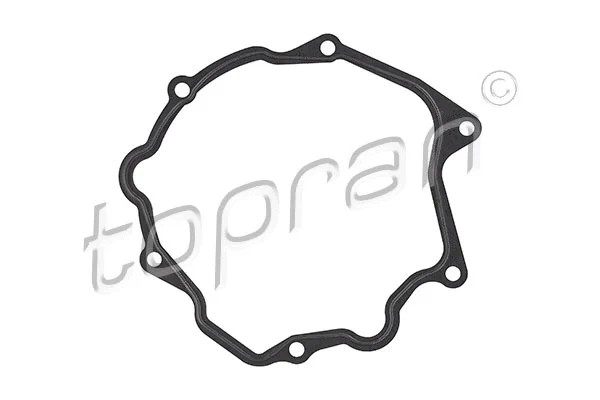 Gasket, vacuum pump (401 272)
