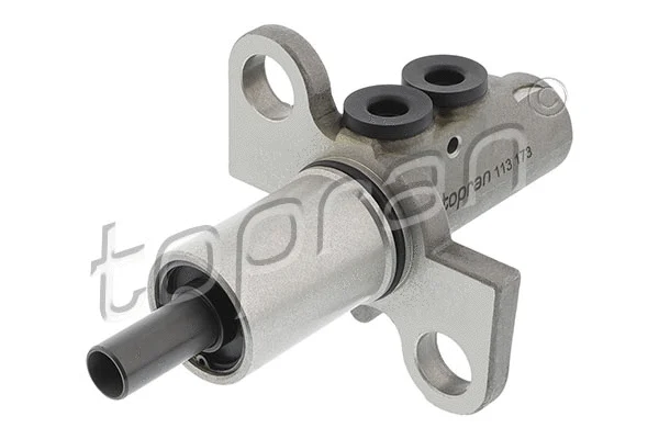 Brake Master Cylinder (113 173)
