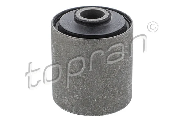 Bushing, leaf spring (302 754)
