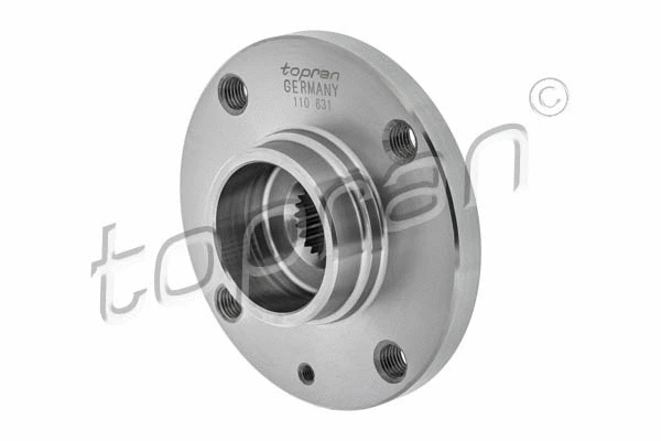 Wheel Hub (110 631)
