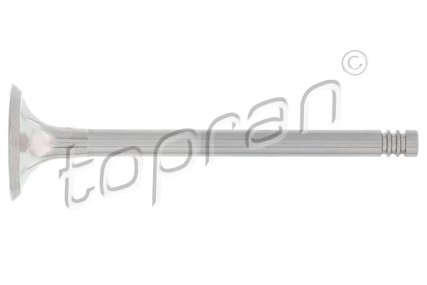 Exhaust Valve (110 198)