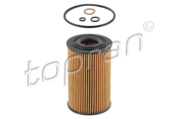 Oil Filter (500 727)