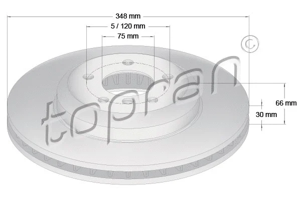 Brake Disc (503 161)