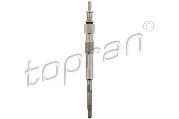Glow Plug (407 919)