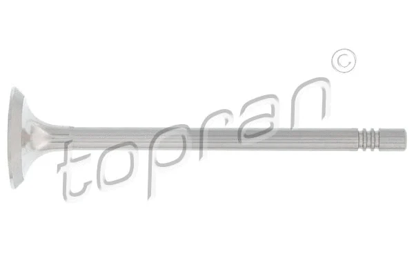 Exhaust Valve (110 212)
