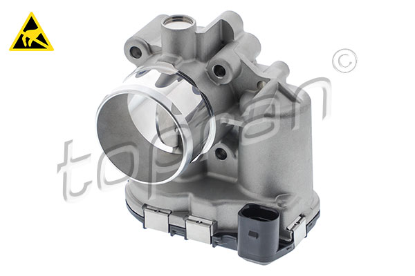 Throttle Body (305 544)