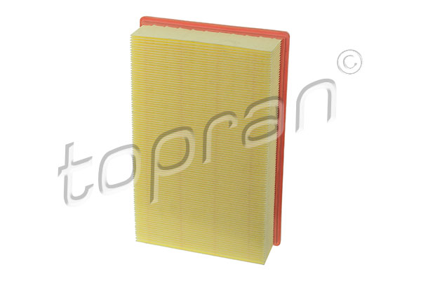 Air Filter (701 531)
