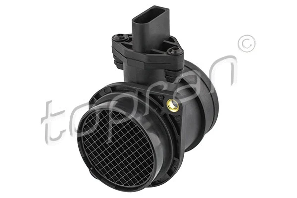 Mass Air Flow Sensor (110 461)