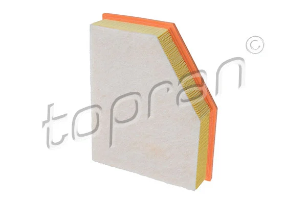 Air Filter (503 016)