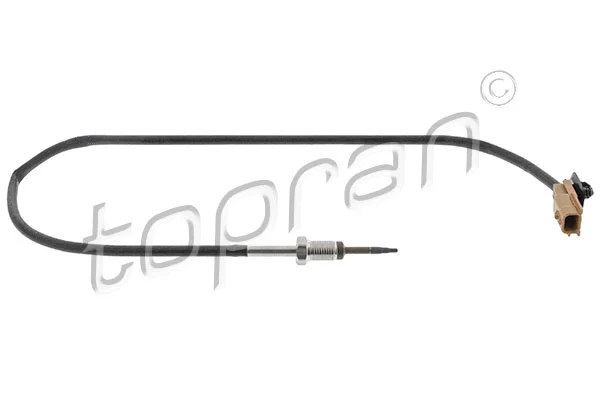 Sensor, exhaust gas temperature (638 586)