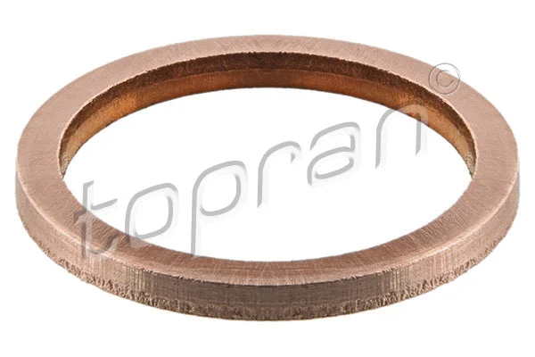 Gasket, charger (110 599)