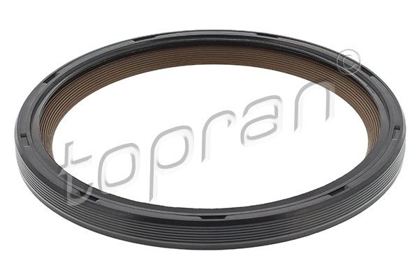 Shaft Seal, crankshaft (503 582)