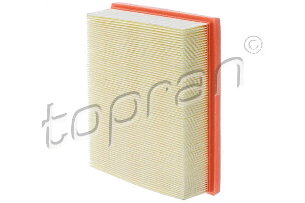 Air Filter (700 251)