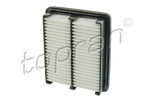 Air Filter (600 060)