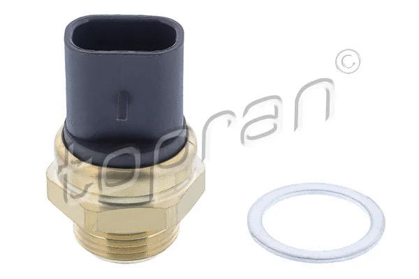Temperature Switch, radiator fan (202 351)