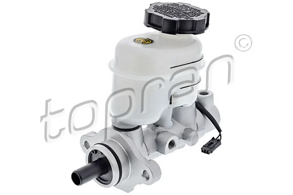 Brake Master Cylinder (821 466)